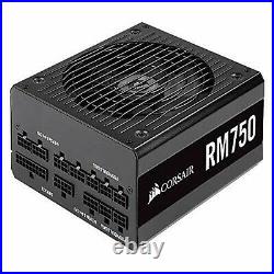 Corsair RM750 2019 750W PC Power Supply Unit 80PLUS GOLD PS862 CP-9020195-JP