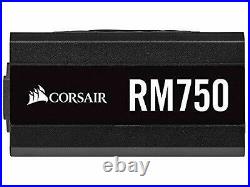 Corsair RM750 2019 750W PC Power Supply Unit 80PLUS GOLD PS862 CP-9020195-JP