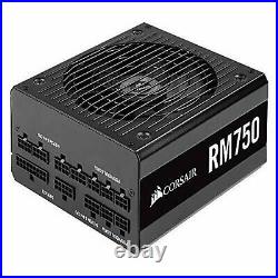 Corsair RM750 2019 750W PC Power Supply Unit 80PLUS GOLD PS862 CP-9020195-JP JP